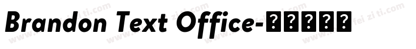 Brandon Text Office字体转换